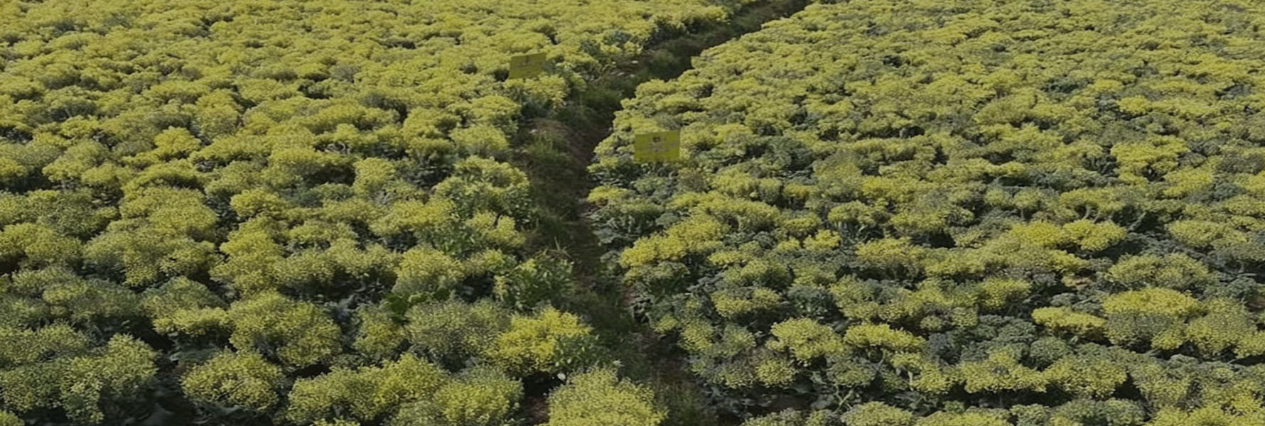 堅(jiān)持創(chuàng)新